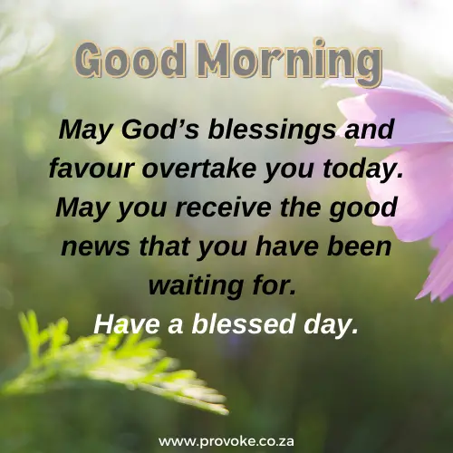 Good Morning Have A Blessed Day Quotes, Messages & Bible Verses - PROVOKE