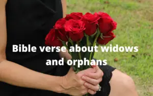 Bible verse about widows and orphans