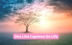 One Line Captions On Life