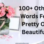 100 Other Words For Pretty Or Beautiful To Make Her Smile